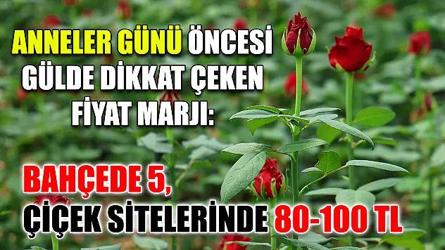 Anneler Günü öncesi gülde dikkat çeken fiyat marjı: Bahçede 5, çiçek sitelerinde 80-100 TL