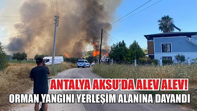 Antalya Aksu'da Alev Alev! Orman Yangını Yerleşim Alanına Dayandı
