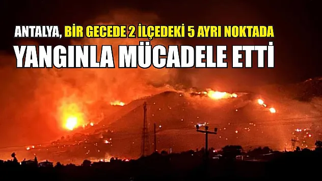 Antalya, bir gecede 2 ilçedeki 5 ayrı noktada yangınla mücadele etti