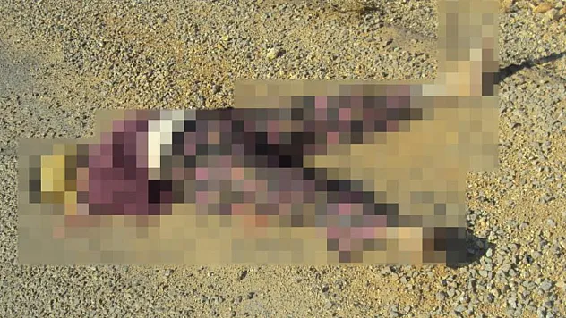 Antalya'da 15 yıllık cinayetin sırrı DNA eşleşmesi ile çözüldü