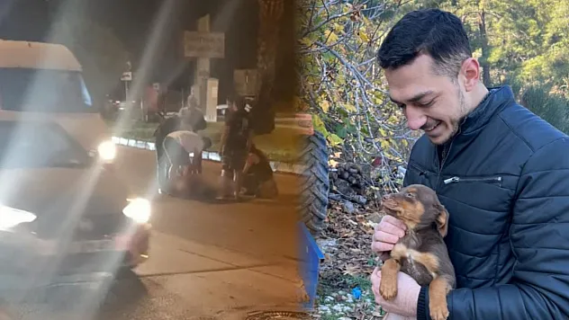 Antalya'da feci kaza: Yayaya çarpan motosikletli hayatını kaybetti