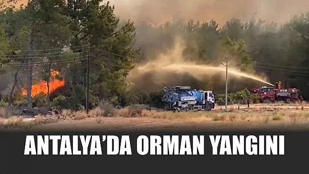 Antalya'da orman yangını