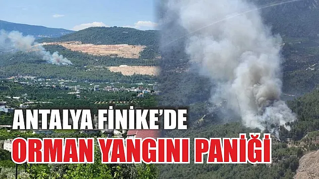 Antalya Finike'de Orman Yangını Paniği