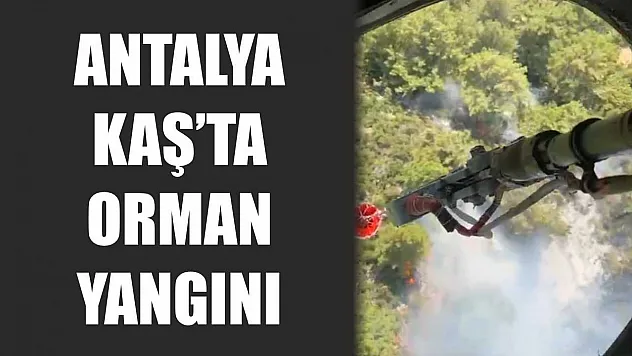 Antalya Kaş'ta orman yangını