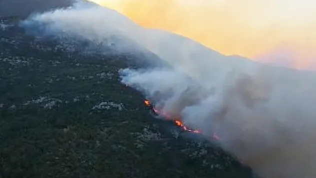 Antalya Kaş'ta orman yangını