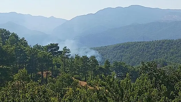 Antalya Manavgat'ta Enerji Kablosunun Kopması Yangına Neden Oldu