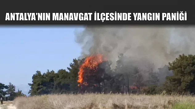 Antalya'nın Manavgat ilçesinde yangın paniği