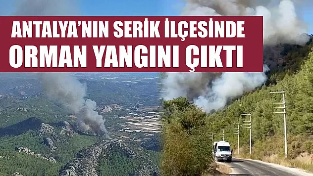 Antalya'nın Serik İlçesinde Orman Yangını Çıktı