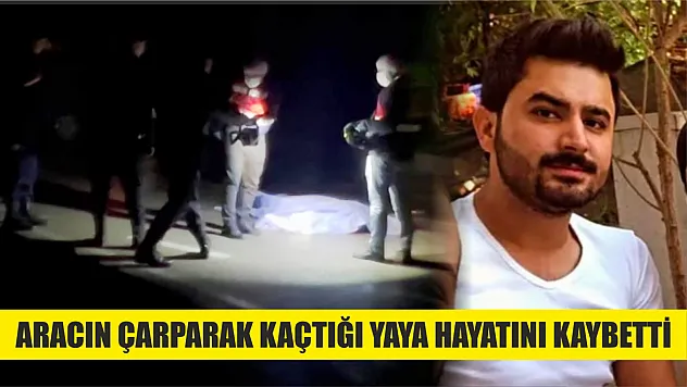 Aracın çarparak kaçtığı yaya hayatını kaybetti