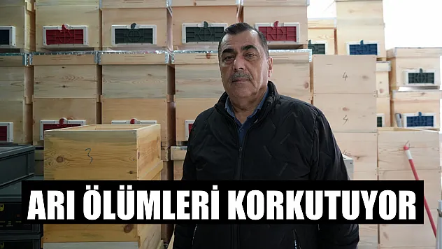 Arı ölümleri korkutuyor