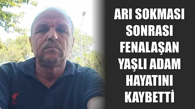 Arı Sokması Sonrası Fenalaşan Yaşlı Adam Hayatını Kaybetti