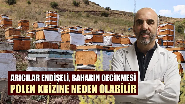 Arıcılar endişeli, baharın gecikmesi polen krizine neden olabilir