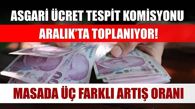 Asgari Ücret Tespit Komisyonu Aralık'ta toplanıyor! Masada üç farklı artış oranı