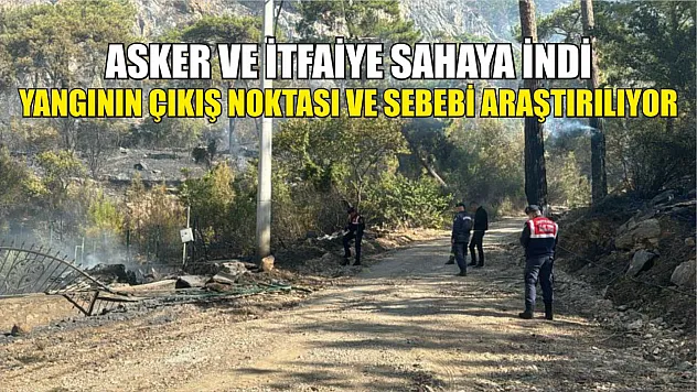 Asker ve itfaiye sahaya indi, yangının çıkış noktası ve sebebi araştırılıyor