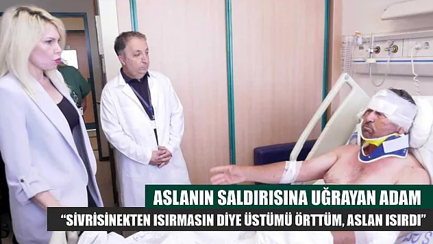 Aslanın saldırısına uğrayan adam: 'Sivrisinekten ısırmasın diye üstümü örttüm, aslan ısırdı'
