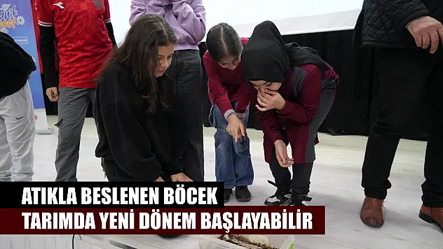 Atıkla beslenen böcek: Tarımda yeni dönem başlayabilir