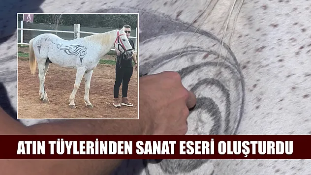 Atın tüylerinden sanat eseri oluşturdu