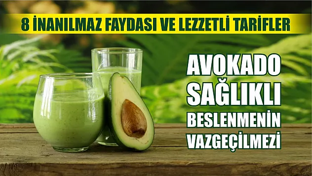 Avokado Sağlıklı Beslenmenin Vazgeçilmezi: 8 İnanılmaz Faydası ve Lezzetli Tarifler