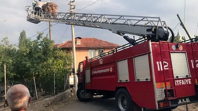 Ayağına ip dolanan Leylek İtfaiye tarafından kurtarıldı