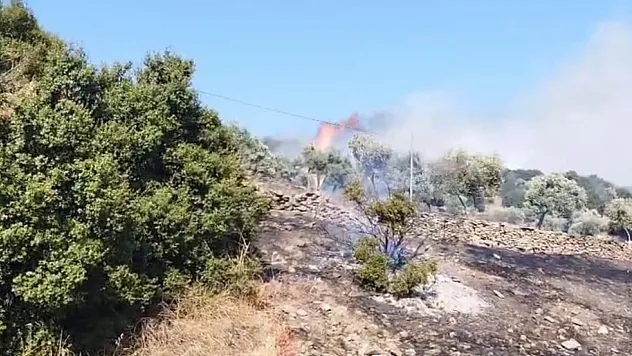 Aydın Çine'de zirai alanda yangın çıktı