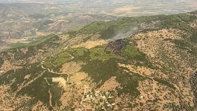 Aydın Çine'deki orman yangını kontrol altına alındı
