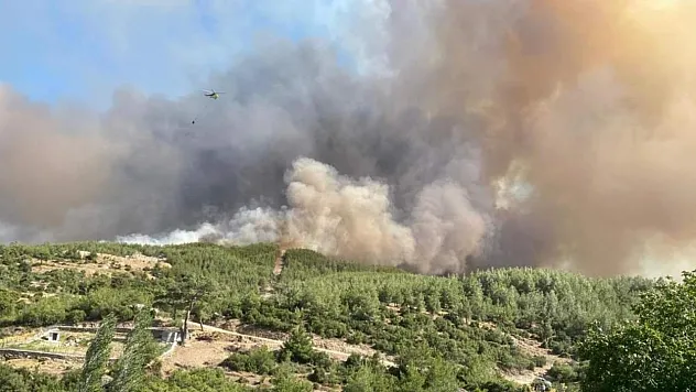 Aydın Çine orman yangınına 4 helikopter 2 uçak havadan müdahale ediyor