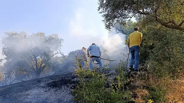 Aydın'da Arazi Yangını Ekiplerin Müdahalesiyle Söndürüldü