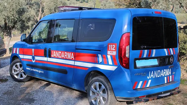 Aydın'da bir kişi ağaca asılı halde bulundu