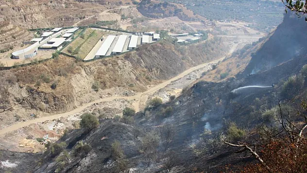 Aydın'da ekiplerin hızlı müdahalesi can dostları ve hastaneyi yanmaktan kurtardı