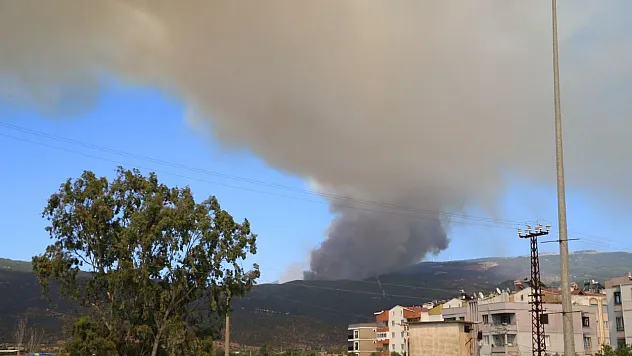 Aydın'da ormanlık alanda yangın çıktı