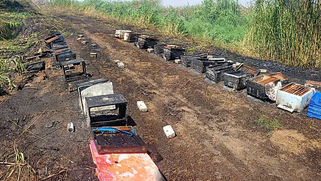 Aydın'da Yangında 20 Arı Kovanı Kül Oldu