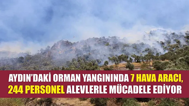 Aydın'daki orman yangınında 7 hava aracı, 244 personel alevlerle mücadele ediyor