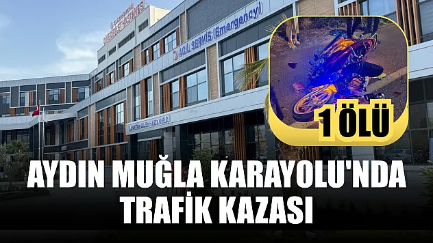 Aydın Muğla Karayolu'nda trafik kazası: 1 ölü