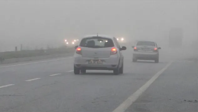 Aydın Muğla Karayolu'nda Yoğun Sis Trafiği Aksattı