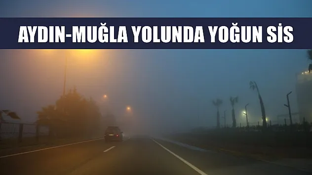 Aydın-Muğla yolunda yoğun sis