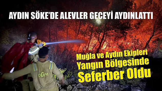 Aydın Söke'de alevler geceyi aydınlattı