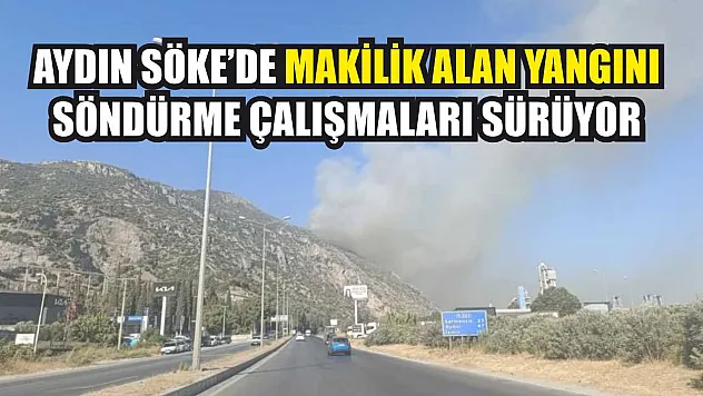 Aydın Söke'de makilik alan yangını, söndürme çalışmaları sürüyor