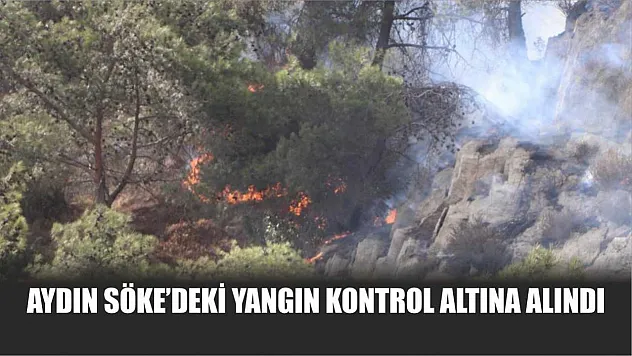 Aydın Söke'deki yangın kontrol altına alındı
