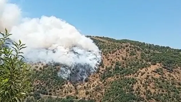 Aydın Sultanhisar'da Ormanlık Alanda Çıkan Yangına Müdahale Sürüyor