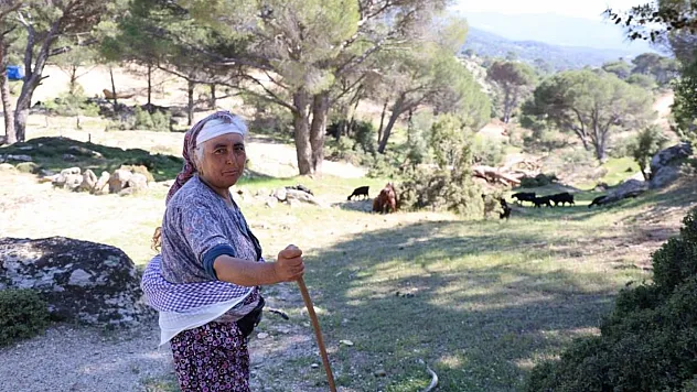 Aydın ve Muğla Sınırındaki Beşparmak Dağları Sessizliğe Büründü: Çobanlığı terk etmeyen sadece Rukiye bacı kaldı