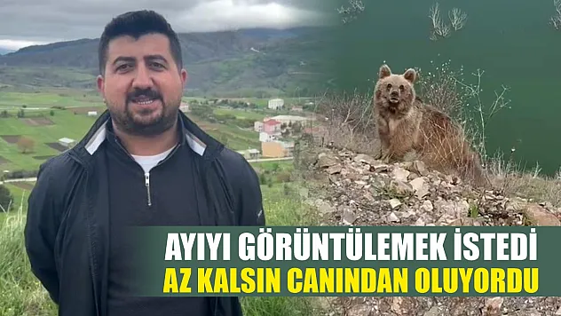 Ayıyı görüntülemek istedi, az kalsın canından oluyordu