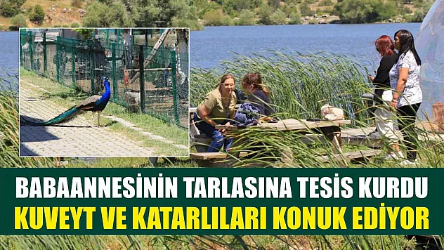 Babaannesinin tarlasına tesis kurdu Kuveyt ve Katarlıları konuk ediyor