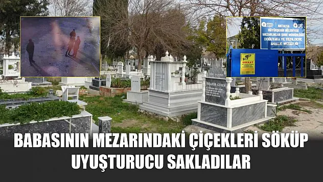 Babasının mezarındaki çiçekleri söküp uyuşturucu sakladılar