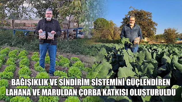 Bağışıklık ve sindirim sistemini güçlendiren lahana ve maruldan çorba katkısı oluşturuldu