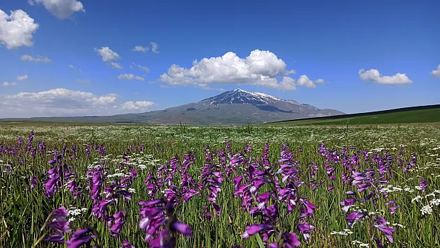 Bahar çiçekleriyle renklendiler