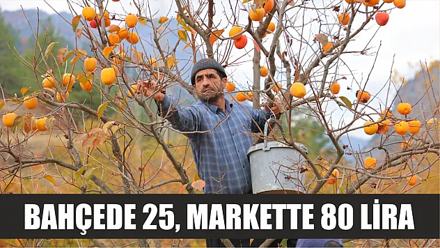 Bahçede 25, markette 80 lira