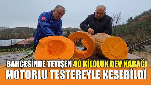 Bahçesinde yetişen 40 kiloluk dev kabağı motorlu testereyle kesebildi