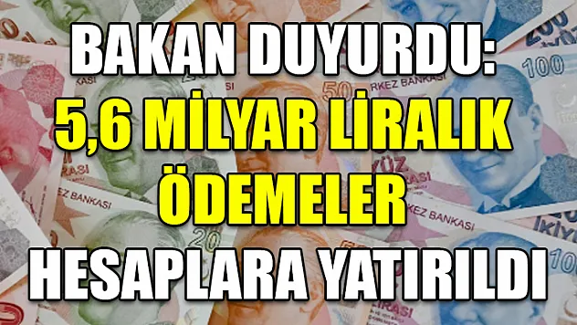 Bakan Duyurdu: 5,6 Milyar Liralık Ödemeler Hesaplara Yatırıldı