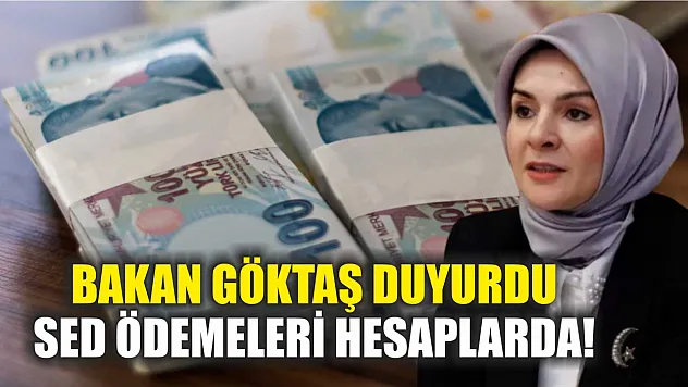 Bakan Göktaş duyurdu: SED ödemeleri hesaplarda!