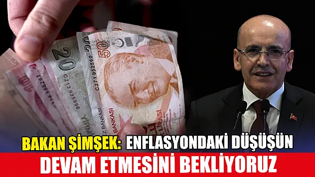 Bakan Şimşek: Enflasyondaki istikrarlı düşüşün devam etmesini bekliyoruz